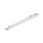 Philips LED Feuchtraumleuchte Pacific WT475C 29.8W 4200lm - 840 Kaltweiß | 120cm 